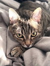 Ruby - Photo 2
