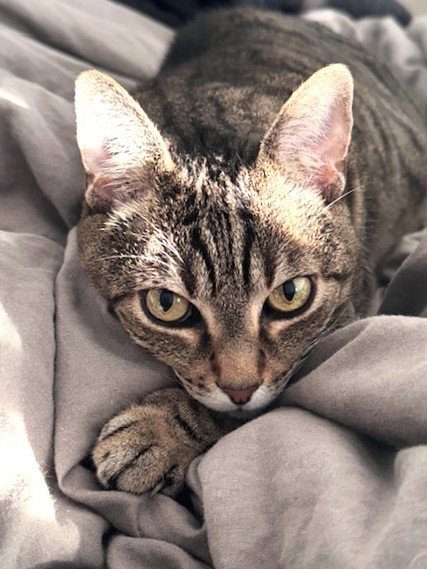 Ruby