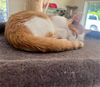 Curly Radabaugh Mar 2022