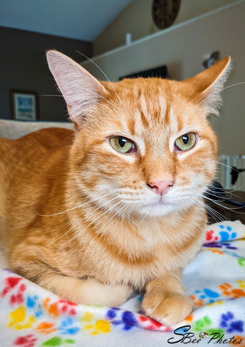Roscoe Rohrback Mar 2017