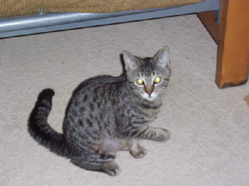 Rosie Stanevich Nov 2008