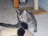 Rosie Stanevich Nov 2008