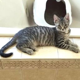 Rocky fka Zeus Cook Mar 2018