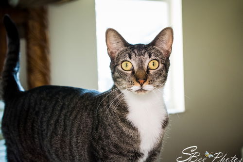 Margarita Colada Sanders Jun 2018