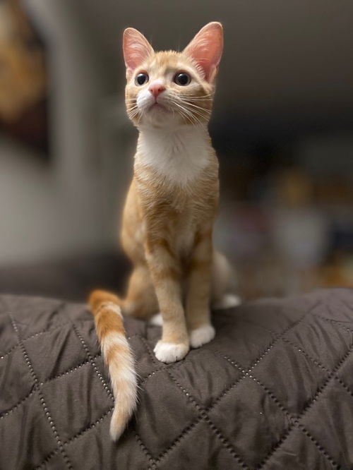 Rosalie Roberts Mar 2020