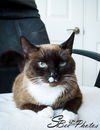Jewel --> Macchiato Condo Jan 2013