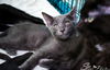 Ripley Frendach Apr 2019