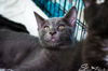 Ripley Frendach Apr 2019
