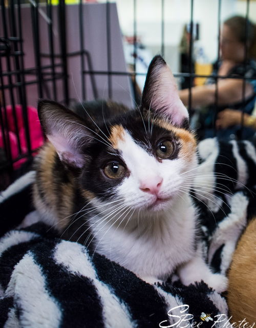 Chloe Cintron May 2019
