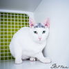 Cara Llinas Apr 2019