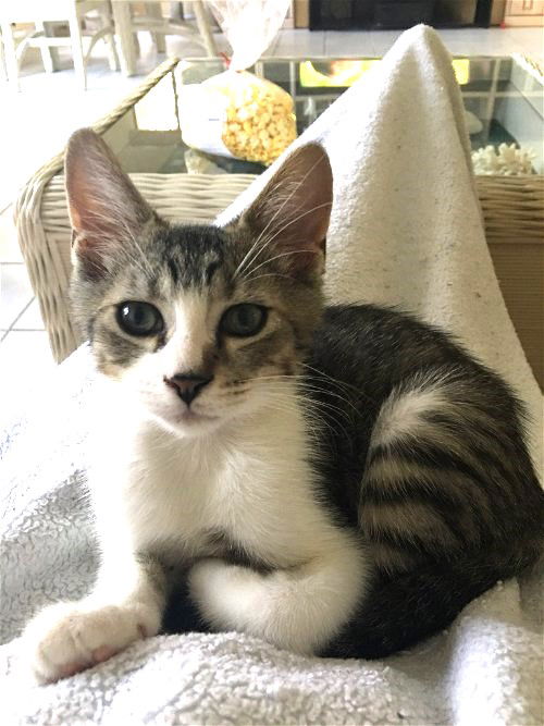 Apollo Ruth April 2019