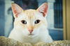 Bentley now Benjamin Hawthorne Nov 2017 DECEASED