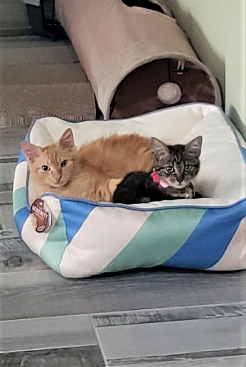 Marlo now Grace Dec 2018