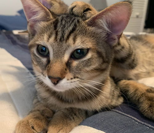 Ariel now Layla Sosa Aug 2019