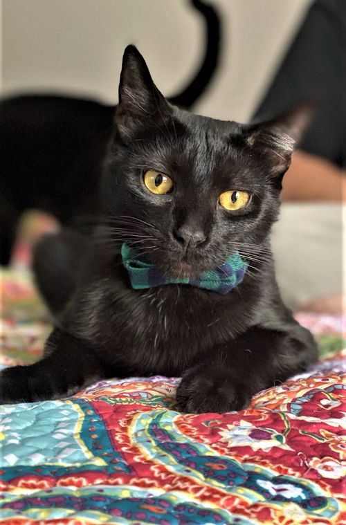 Flynn Ryder Loos Sep 2019