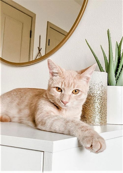 Marco now Coco Goldstein Aug 2019
