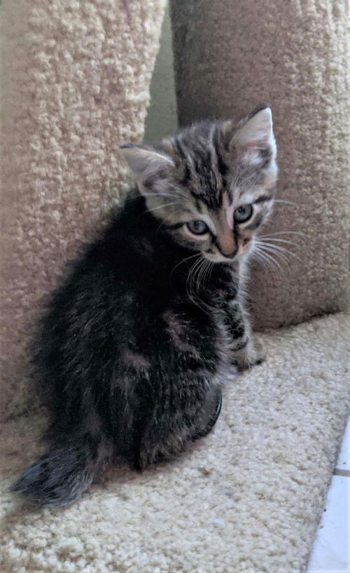 Jade Stevens Feb 2020