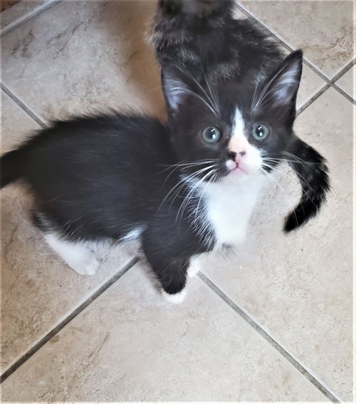 Bella now Starlight Wilder Aug 2020