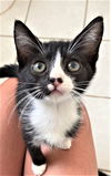 Bella now Starlight Wilder Aug 2020