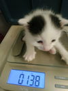 Murphy Kirkpatrick Mar 2020