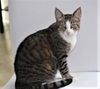 Lucy Coppelli Dec 2010