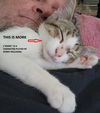 Benson now Mork Bennett Apr 2022