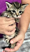 Jasper Stroup Aug 2020