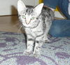 Annie Flamand Apr 2009