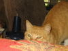 Goldie Kibler Sep 2007