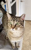 Spunky Jerry Sanders Aug 2022