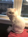 Anastasia aka Anna Robison Jun 2011