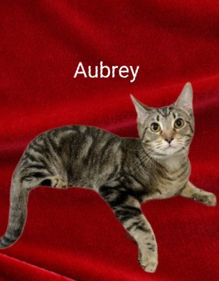 Aubrey now Ruby Argueta Apr 2023's Web Page