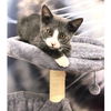 Travis now Loki Whitney Aug 2024