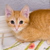 Thor FKA Butters Heceta Feb 2025
