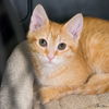 Thor FKA Butters Heceta Feb 2025