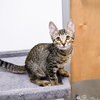 Cupcake fka Turbo Harrison Mar 2025