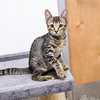 Cupcake fka Turbo Harrison Mar 2025