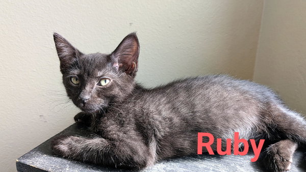 Rubee