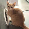 Izzy - Photo 3