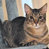 Rollo - Photo 4