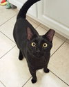 Buddy - Photo 1