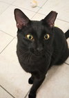 Buddy - Photo 3