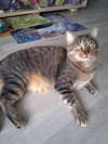 Sammy