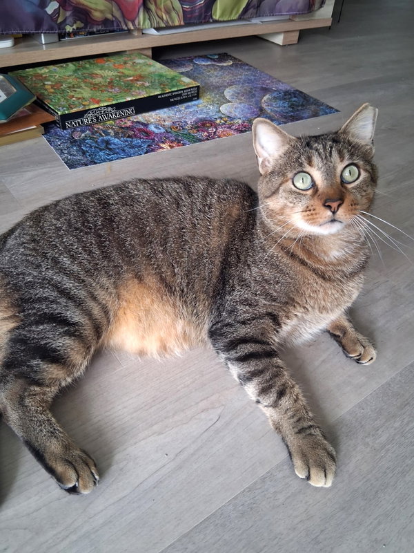Sammy
