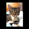 Starsky