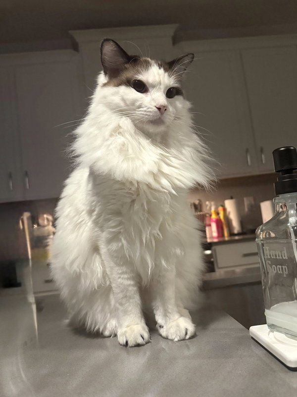 Astro