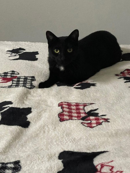 Edgar photo 2