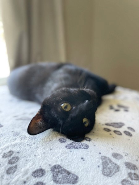 Edgar photo 3