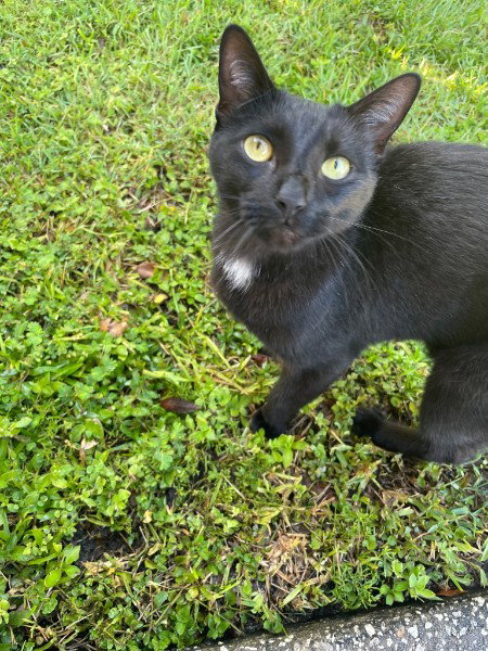 Edgar photo 4