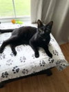 Edgar